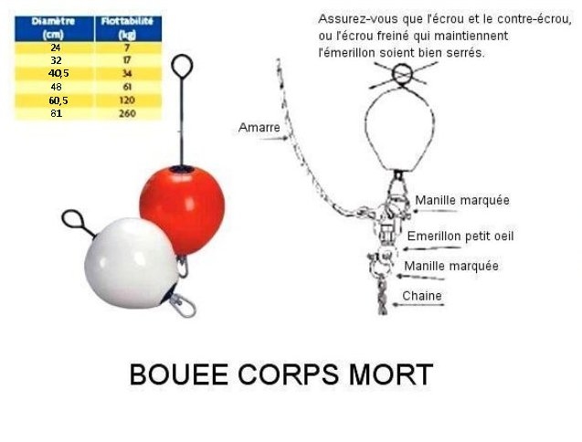 Bouée de corps mort moussée