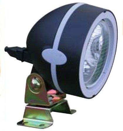 Projecteur ovoïde